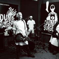 Dumb Surgeon - "Wild"