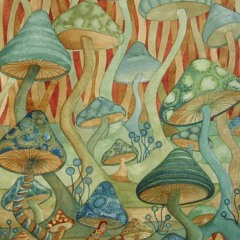 Mushroom forest [work in progress]