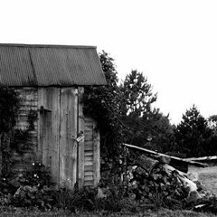 Running back to the farm