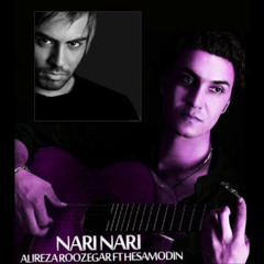 Alireza Roozegar & Hesamodin <> Nari Nari 2012