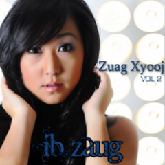 Zuag Xyooj - Ib Zaug
