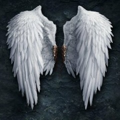 "Twisting My Thoughts" By Michael (NOIZ) Gill 2012