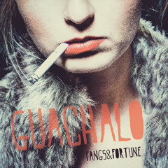 Maps & Atlases v. Guachalo - Old Ash