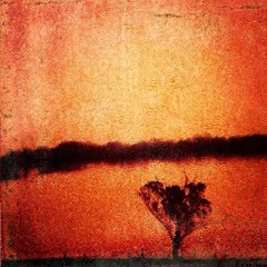 post-rock + ambient + Instrumetal