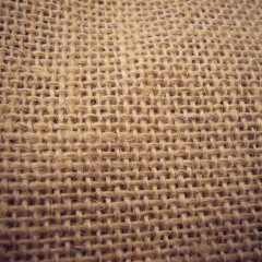 Toile de jute (Taiade 2012)