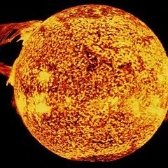 OTAKO--NEGATIVE SUNSHINE_CLIP (JSD001)