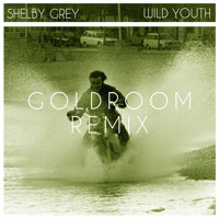 Shelby Grey - Wild Youth (Goldroom Remix)