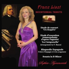 Piano Sonata in B Minor, S. 178:  I. Lento Assai, Allegro Energico, Grandioso, Recitativo