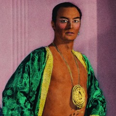 SLIM TWIG 'Priscilla' (from the album 'Sof' Sike' out 8/21)