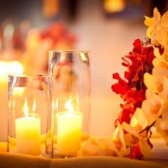 София Ротару - Червона Рута (DJ Vini remix)