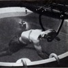 Noir 2