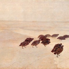 Cade Calf Call (unmastered)