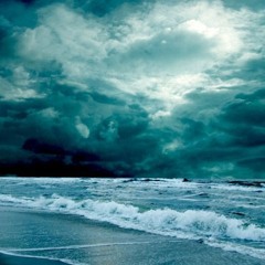i love the beach