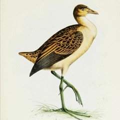 glitchcumbia retorcida de espiritu santafesino