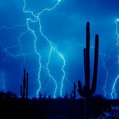 Wrongarda - Digital Supreme