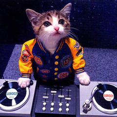 Dj mixes including a bit of Luv Shack
