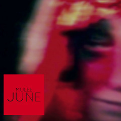 june 0 (Caballero in june)