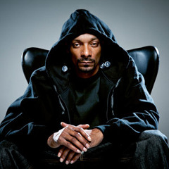 Snoop dogg ft & Mr. capone - E light my fire