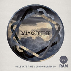 Calyx & TeeBee - Elevate This Sound