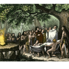 CoaGoa - Druids Gathering