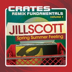 Jill Scott - Slowly Surely (The Teddy Vee Remix)