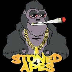Stoned Apes - Nightwaves (Virion Remix)