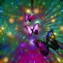 A Butterfly`s Journey