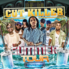 Summer Tour 2012 - Intro