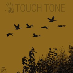 Link - Daylight Hours (Touchtone Records #1)