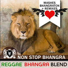 NSB-Bhangra Reggae Blend (DJ Jimmy Love)