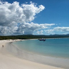 Indecent Exposure- Everything Looks Better - Preview