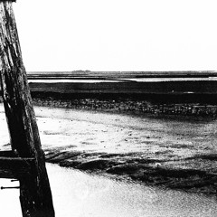 "Il mare immobile" for three bass recorders (2001/07)