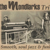 Just Freinds The Mondlarks Hammond B3 Trio Mp3