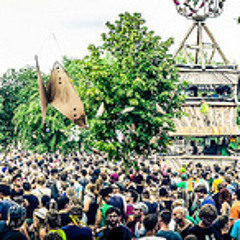 Jonas Wahrlich at FUSION Festival (Tanzwiese) 30th june 2012