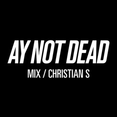 Christian S Mix