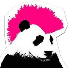 FRÅGA INTE VAD PUNKEN KAN GÖRA FÖR DEJ, FRÅGA VAD DU KAN GÖRA FÖR PUNKEN