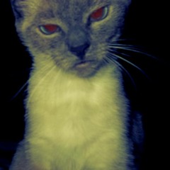 The Chase dre doe ft freshyoung ft buggy bug