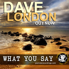 Dave London - What You Say