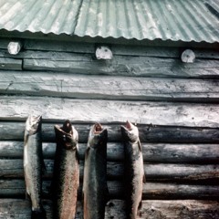 STE-000, -003, -004 MegaCurtis with Rain