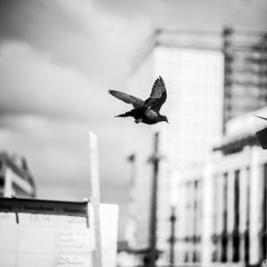 Colino - Soft Beat (Cut)