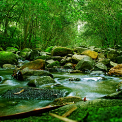 Deep flowing river with vox