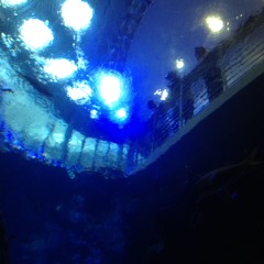 Matrix Violin Cover - Clubbed To Death Theme