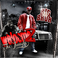 BIG BRUH NEWKING; RIDE THE POLE.