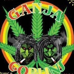 Goapirates - gOBlins on DMT