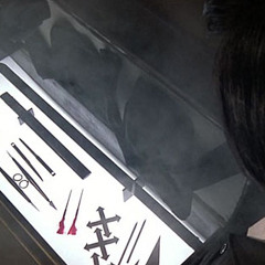 Shadow.Ninja - Metamorphosis VIP