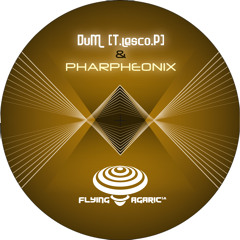 Tribal Trance goa [Flying Agaric 12]
