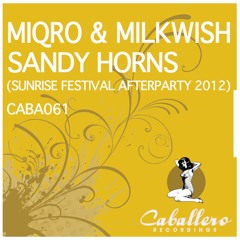 Miqro & Milkwish - Sandy Horns (Sunrise Festival Afterparty 2012)