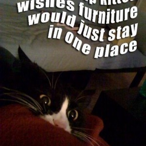 London funk allstars