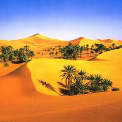 The Sahara