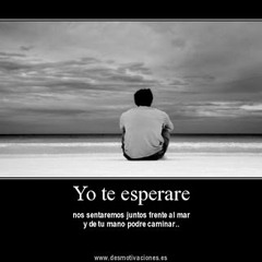 Nadie Te Amara Como Yo